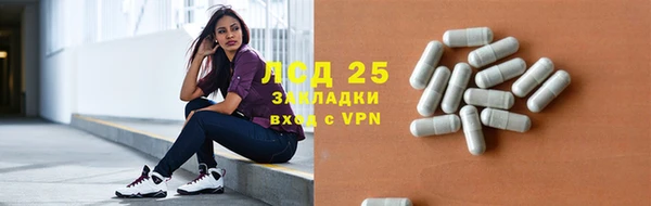 ГАЛЛЮЦИНОГЕННЫЕ ГРИБЫ Баксан
